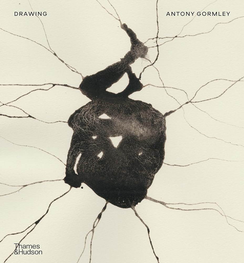 Drawing: Antony Gormley cover image