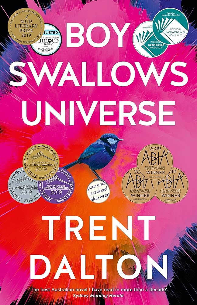 Boy Swallows Universe cover image