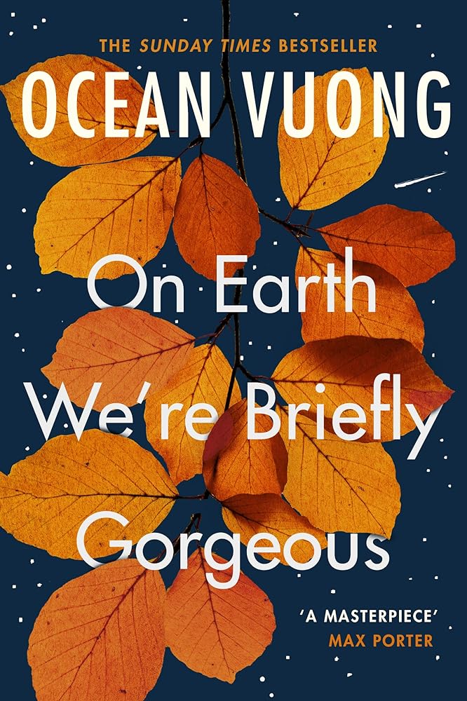 On Earth We're Briefly Gorgeous A Novel cover image
