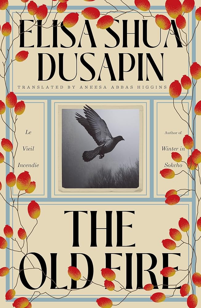 The Old Fire cover image