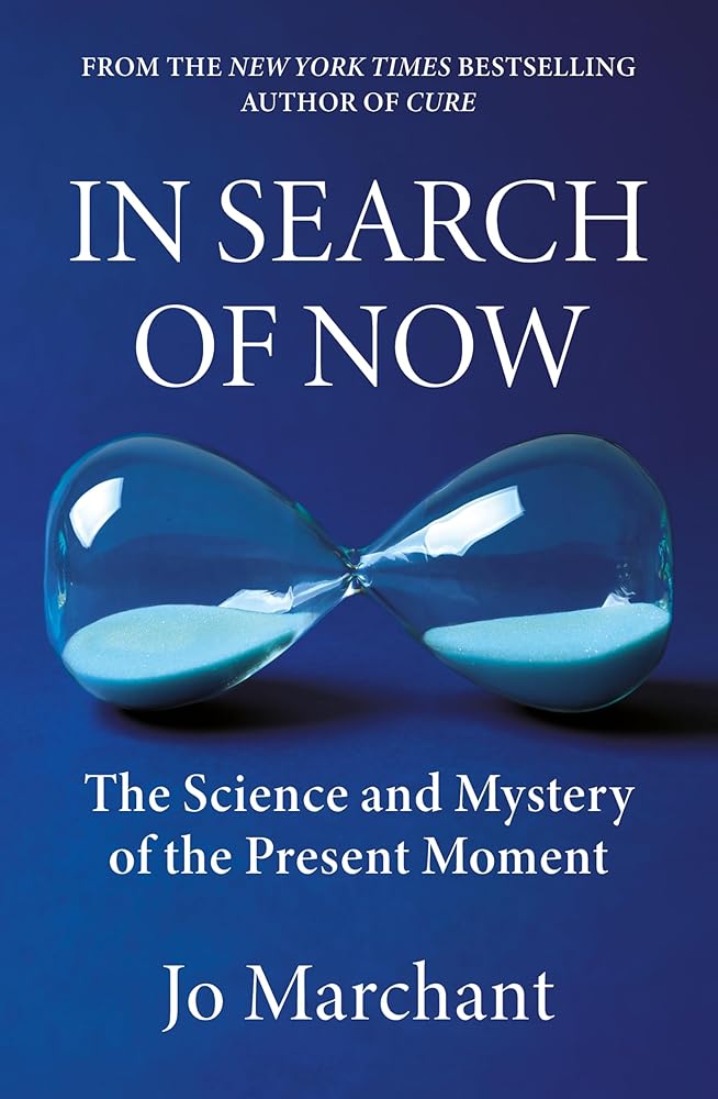 In Search of Now: The Science and Mystery of the Present Moment cover image