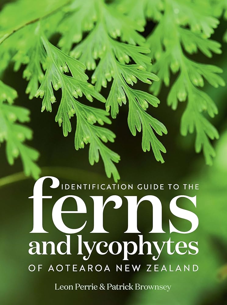 Identification Guide to the Ferns and Lycophytes of Aotearoa NZ cover image